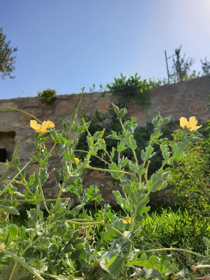 Artolive Datça Buitenkant foto